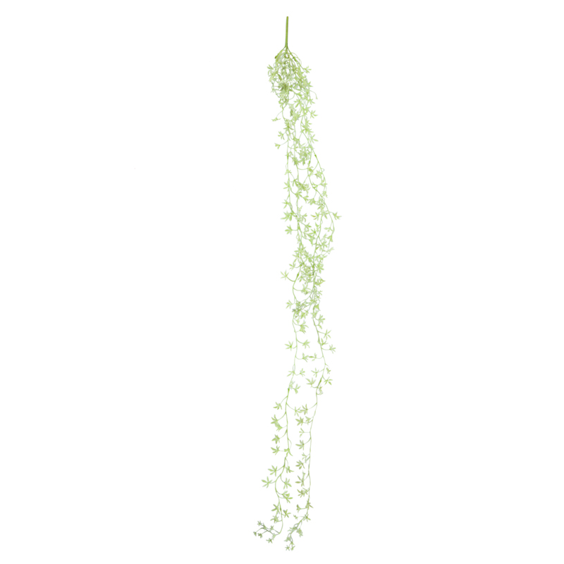 Feuille d'érable verte 