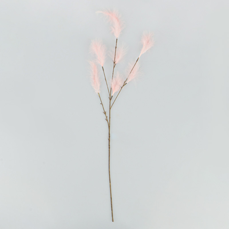 Tige de plumes