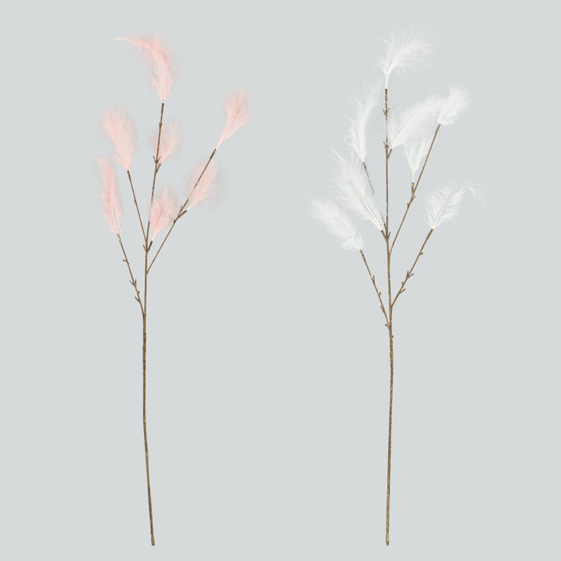 Tige de plumes