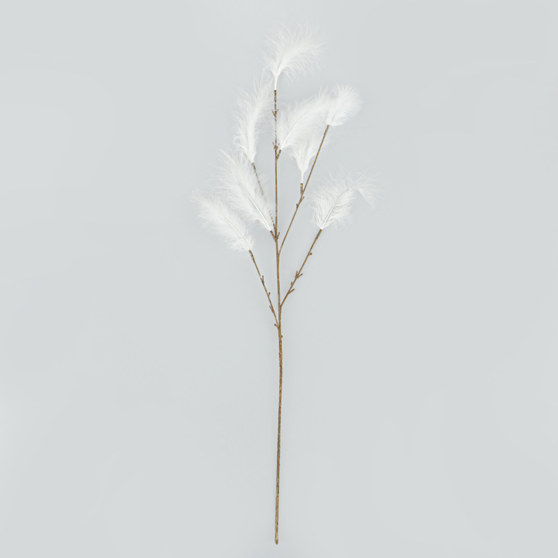 Tige de plumes