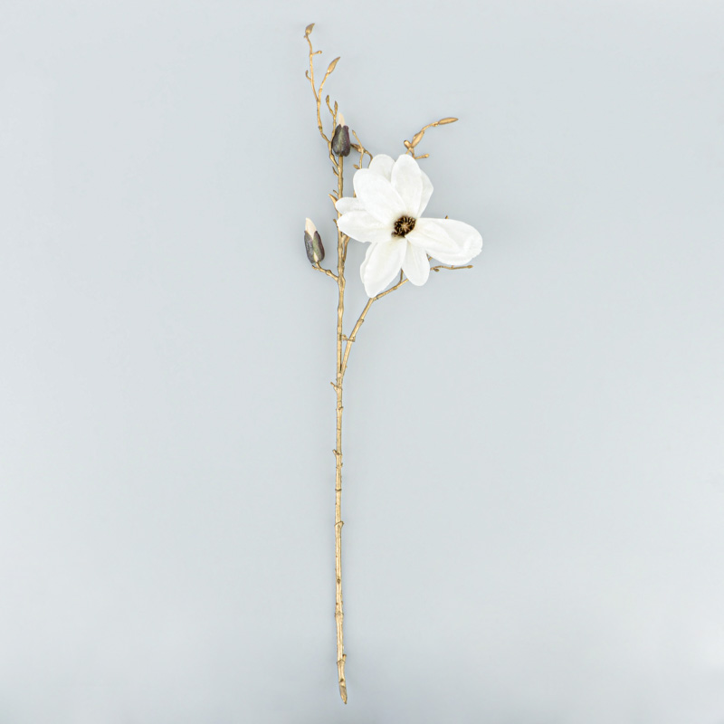 Tige de magnolia 'Mille Éclats' couleur crème
