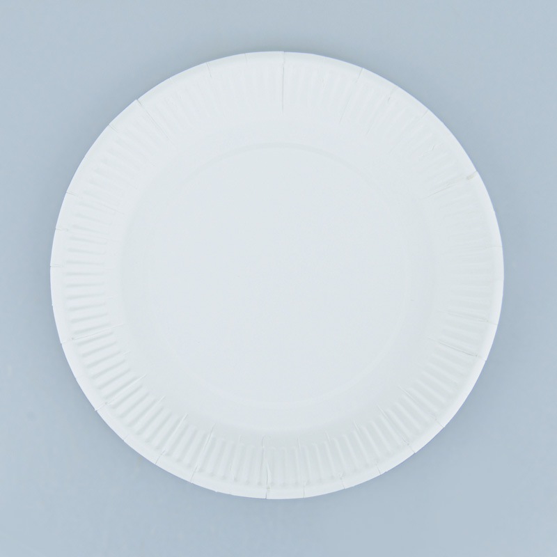 Lot de 100 assiettes en carton blanc