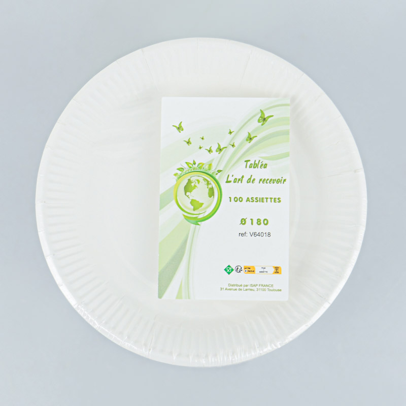 Lot de 100 assiettes en carton blanc