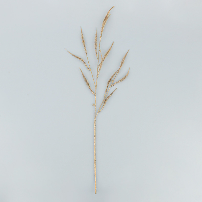 Tige de bruyère 'Erica' dorée 