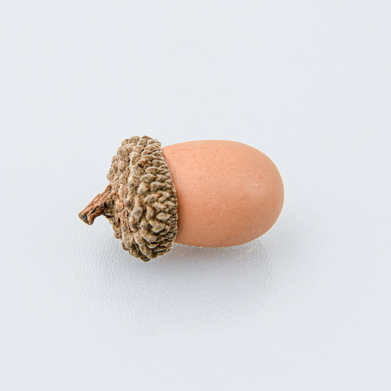 Glands décoratifs sur tige marron doré 