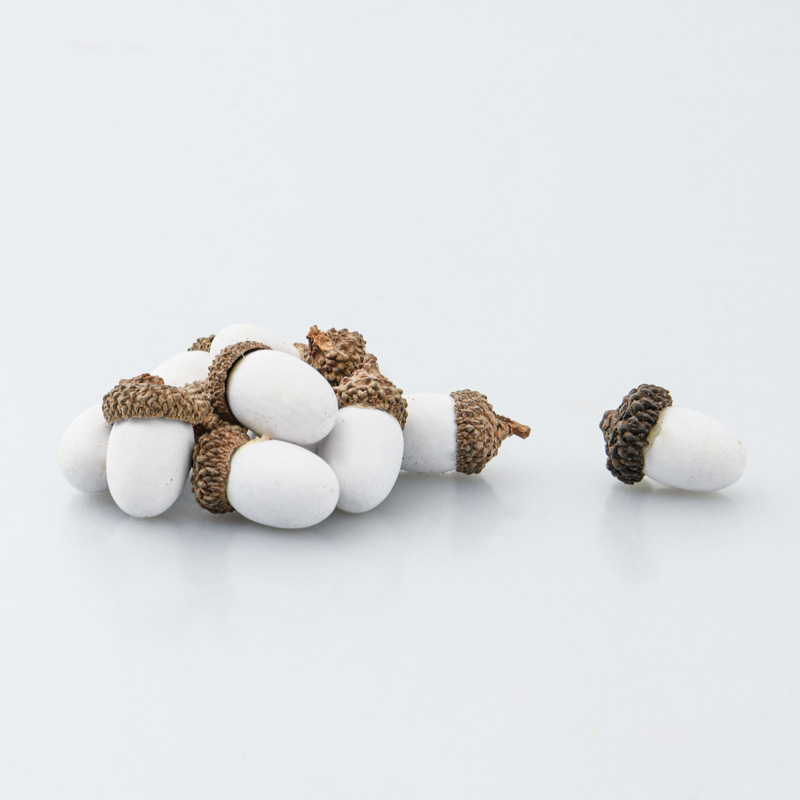 Lot de petits glands décoratifs blanc