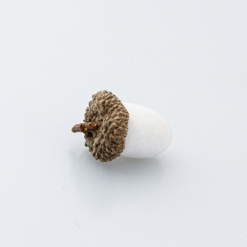 Lot de petits glands décoratifs blanc