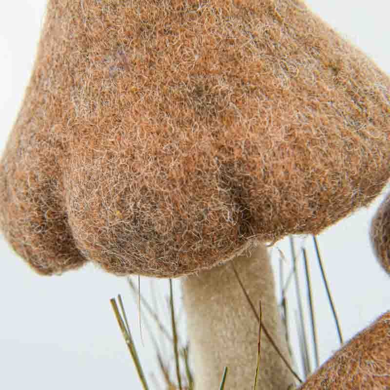 Champignons décoratifs 'Secrets des bois'