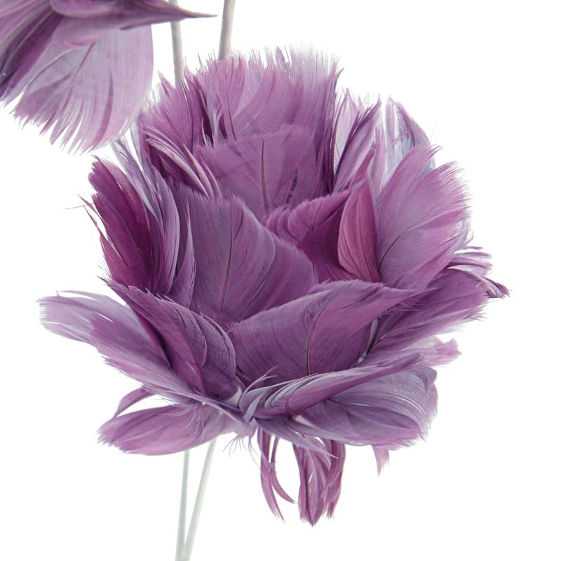 Tige fleurs plumes