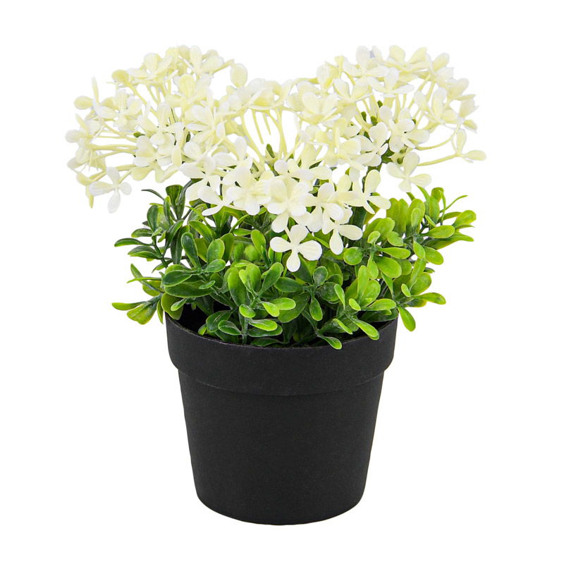 Pot de fleurettes