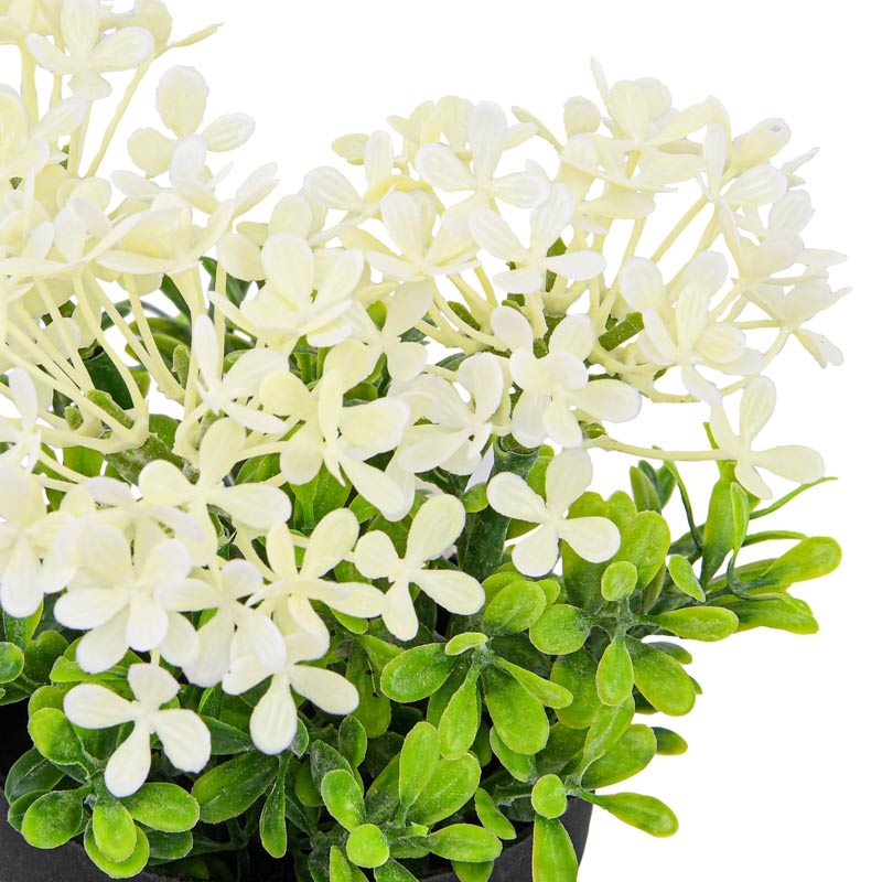 Pot de fleurettes