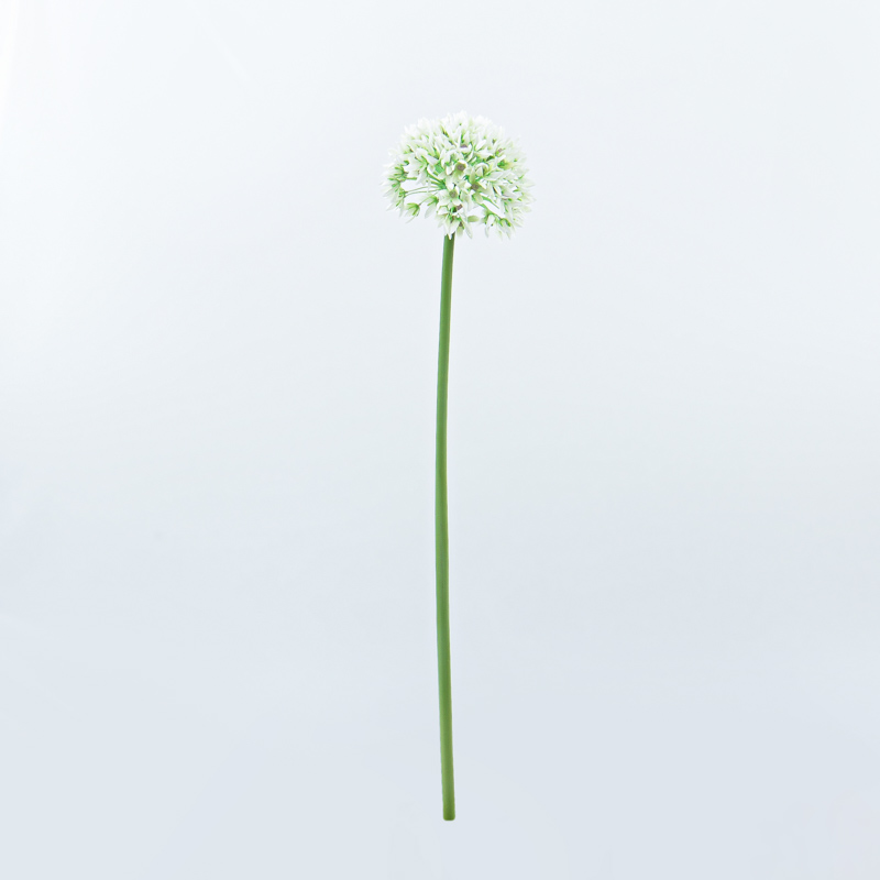 Tête d'ail d'ornement blanc