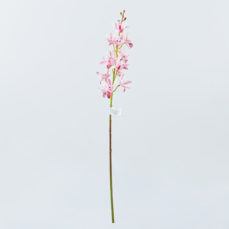 Tige d'orchidées cymbidium 