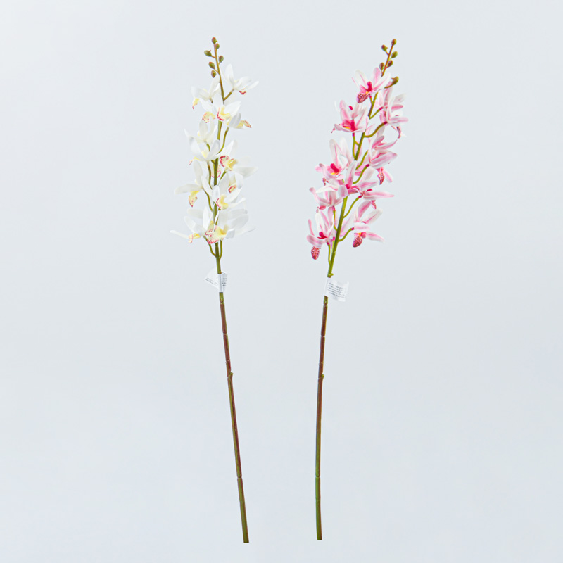 Tige d'orchidées cymbidium 