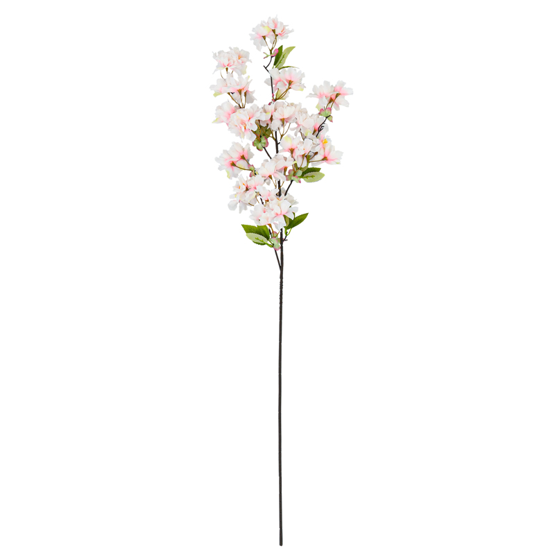 Fleurs de cerisier 