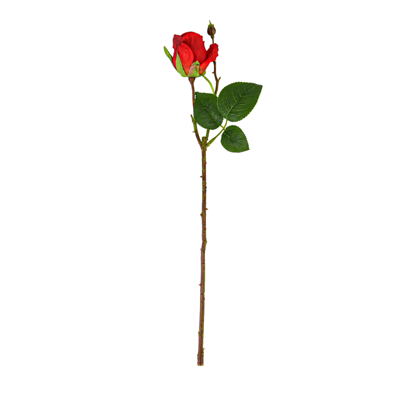Tige de bouton de rose rouge 