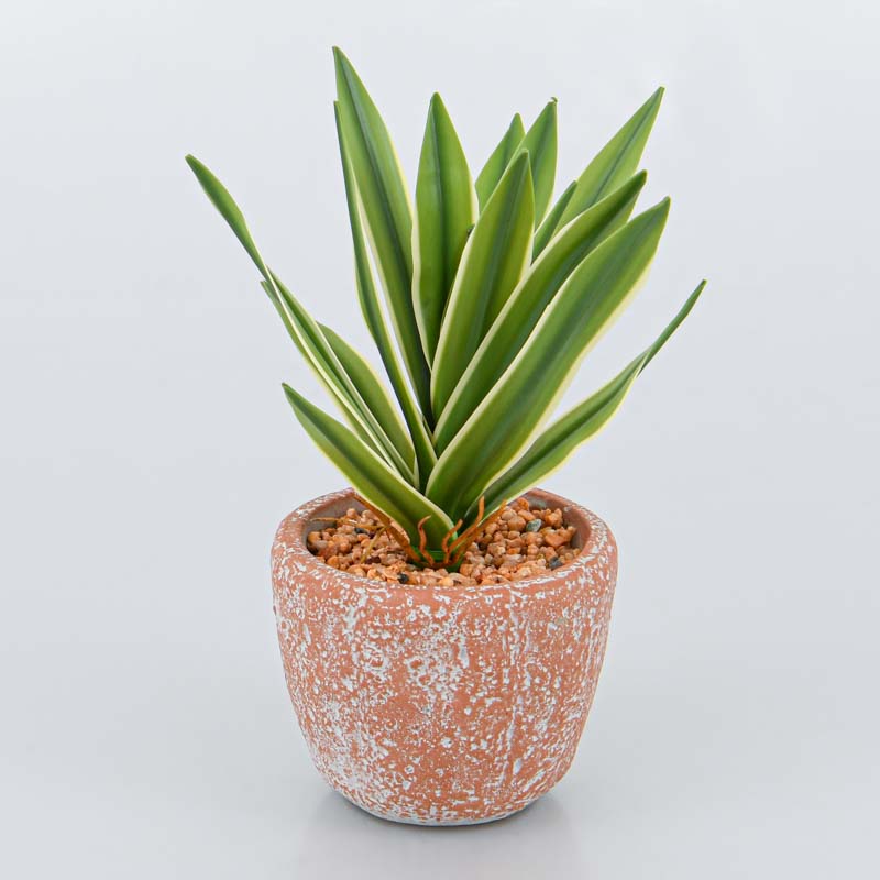 Plante en pot verte