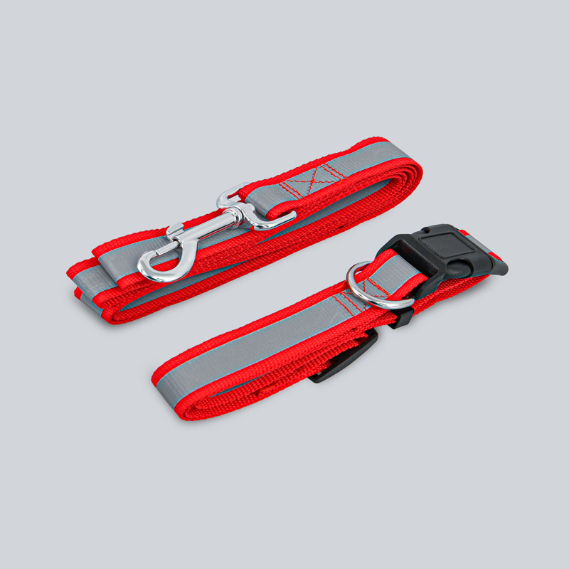 Collier et laisse pour chien