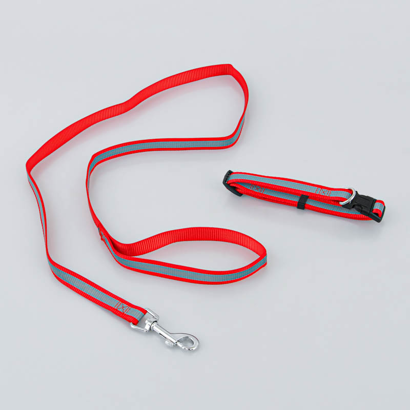 Collier et laisse pour chien