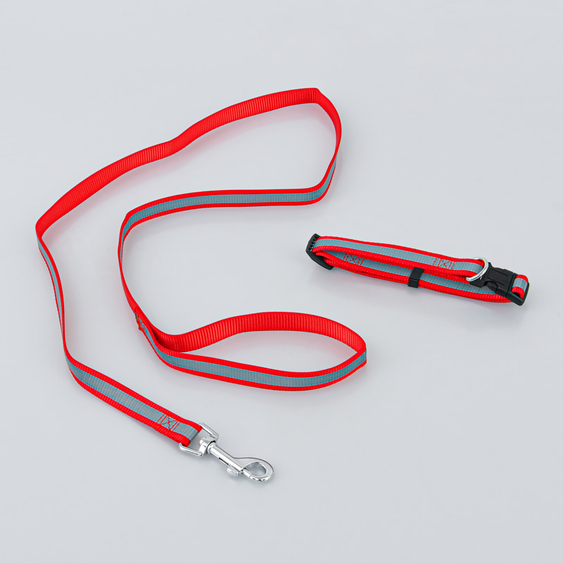 Collier et laisse pour chien