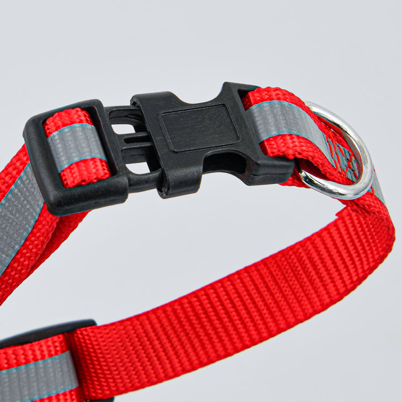 Collier et laisse pour chien