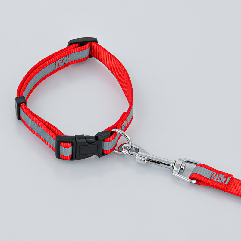 Collier et laisse pour chien