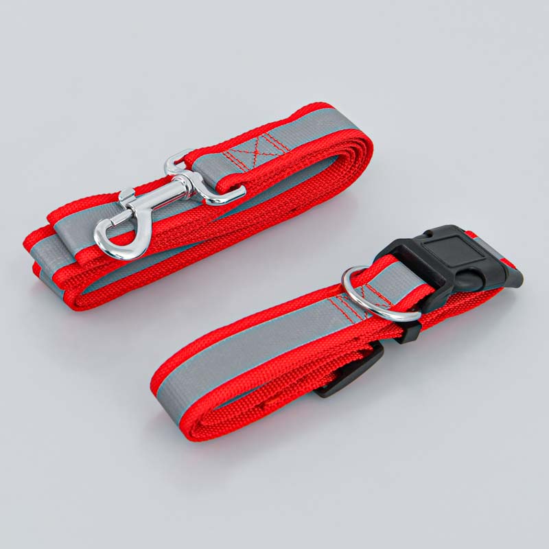 Collier et laisse pour chien