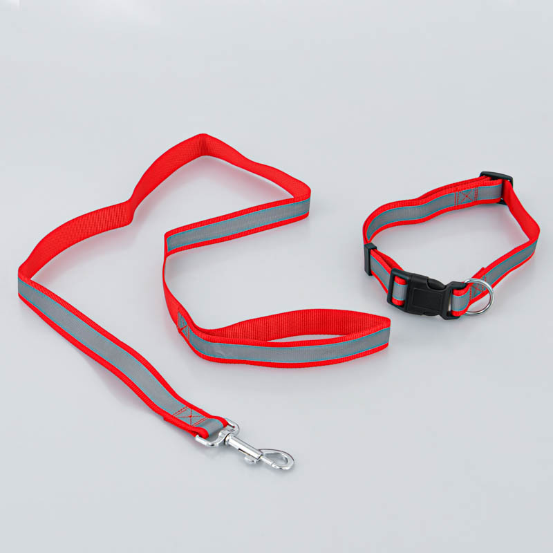 Collier et laisse pour chien