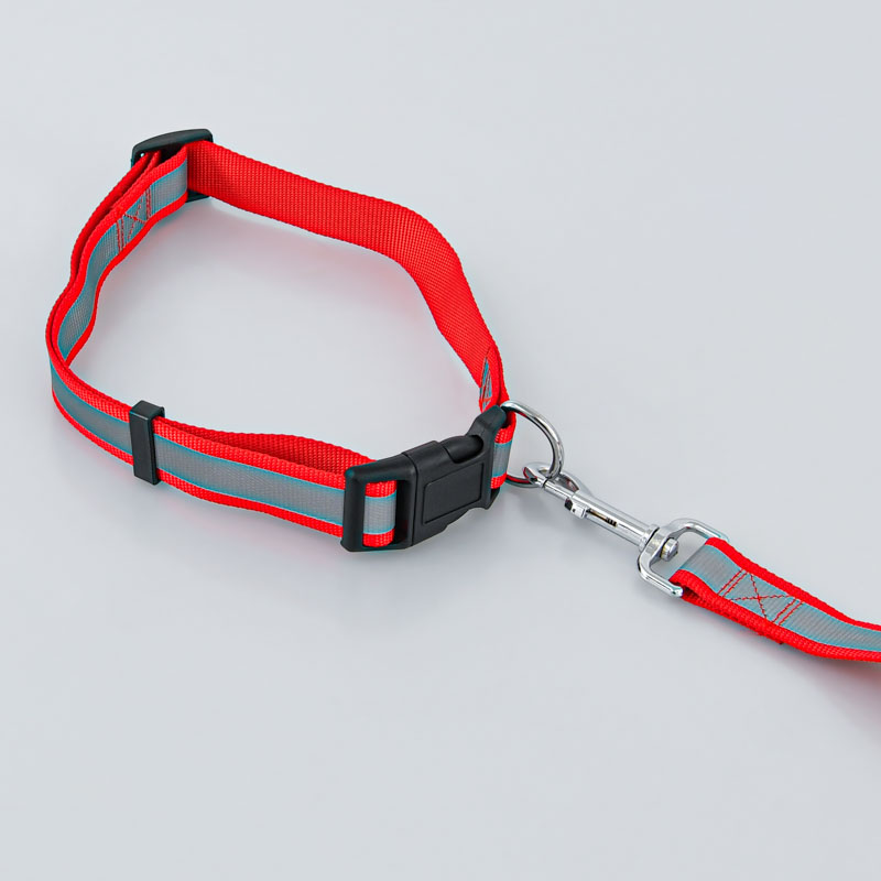 Collier et laisse pour chien