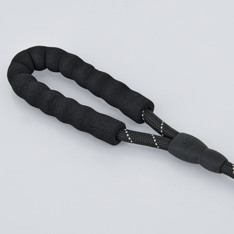 Laisse pour chien