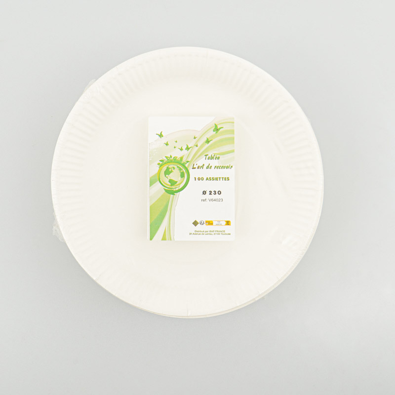 Lot de 100 assiettes en carton blanc