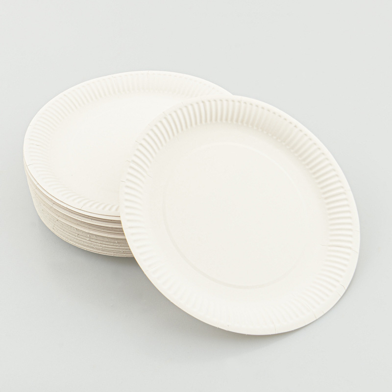 Lot de 100 assiettes en carton blanc