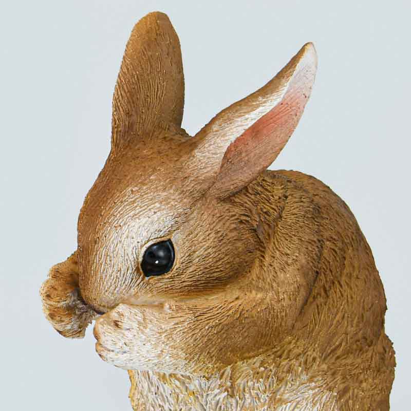 Lapin joueur décoratif 