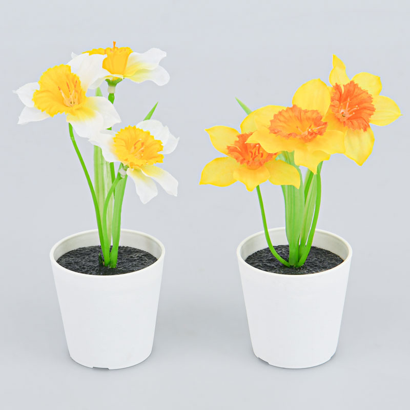Mini composition de jonquilles 