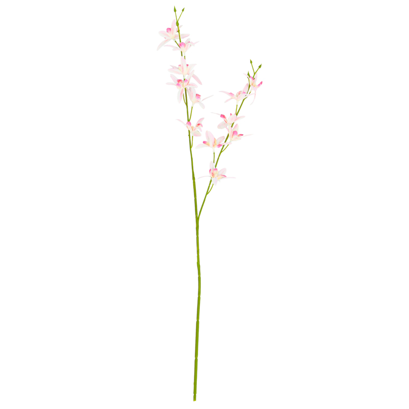 Tige d'orchidée