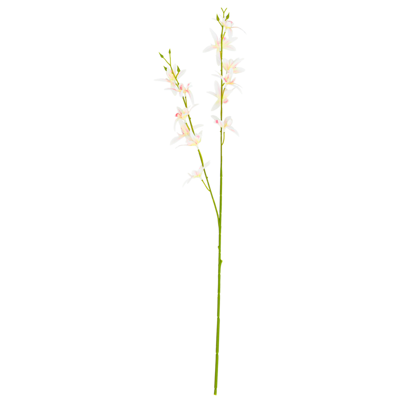 Tige d'orchidée