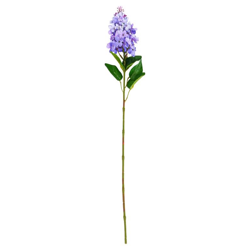 Tige de lilas
