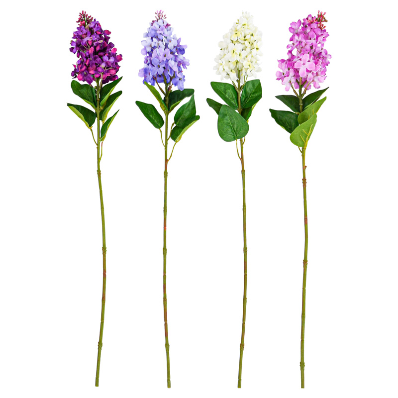 Tige de lilas