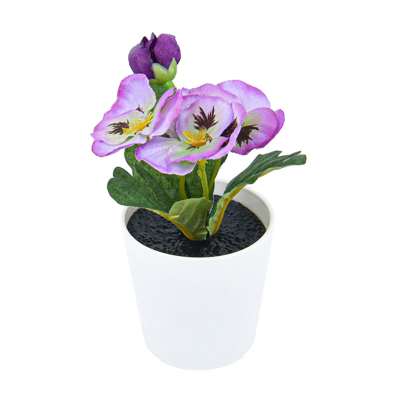 Mini pot de pensées