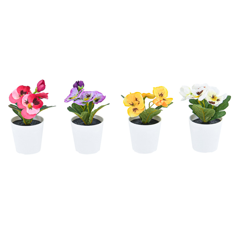 Mini pot de pensées