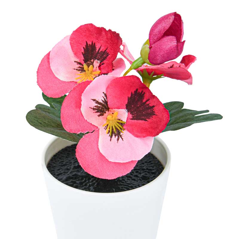 Mini pot de pensées