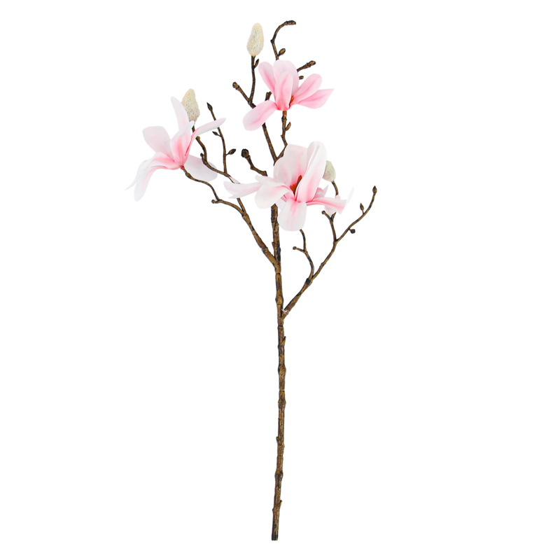 Tige courte de magnolia rose