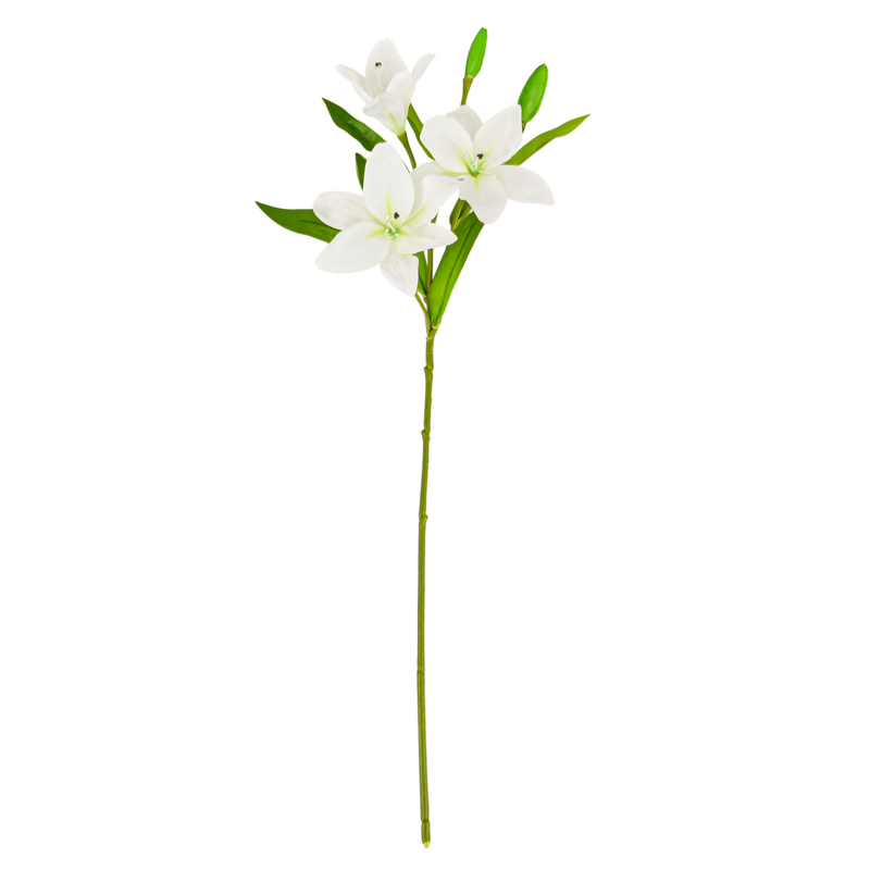 Tige de lys tigre crème
