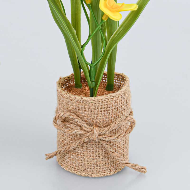 Petites fleurs en pot 