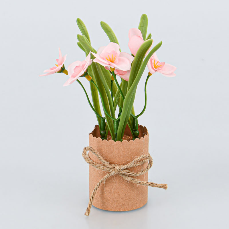 Jonquilles en pot 