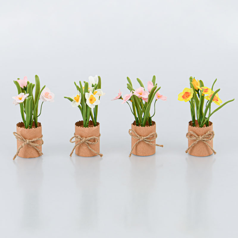 Jonquilles en pot 