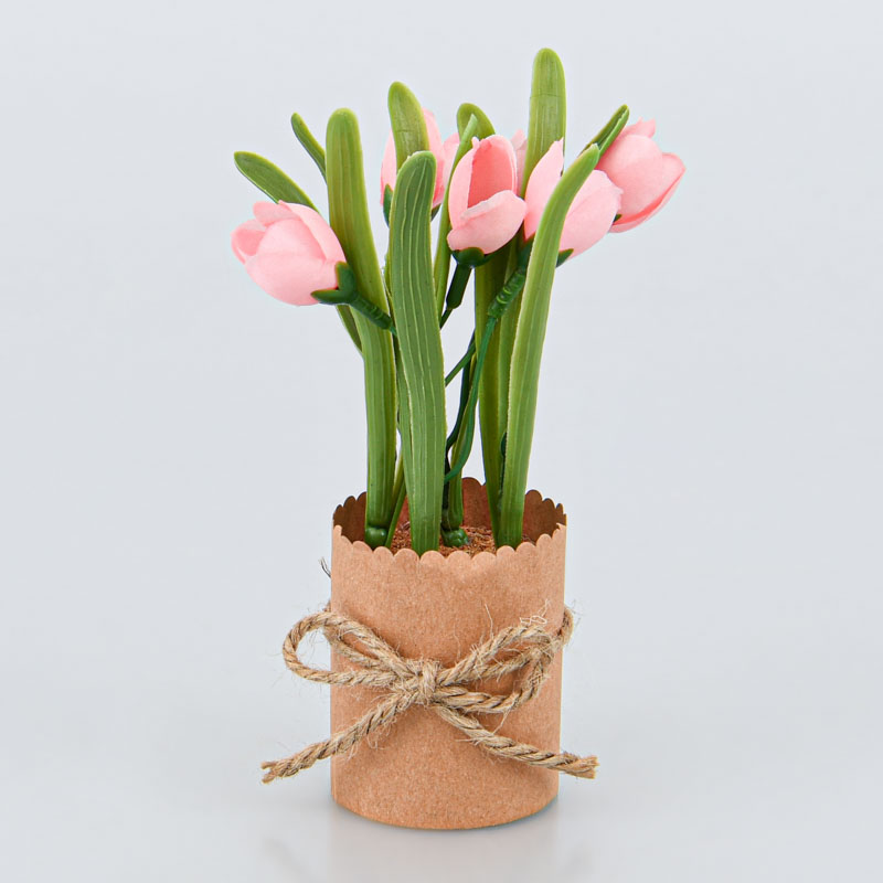 Petits tulipes en pot 