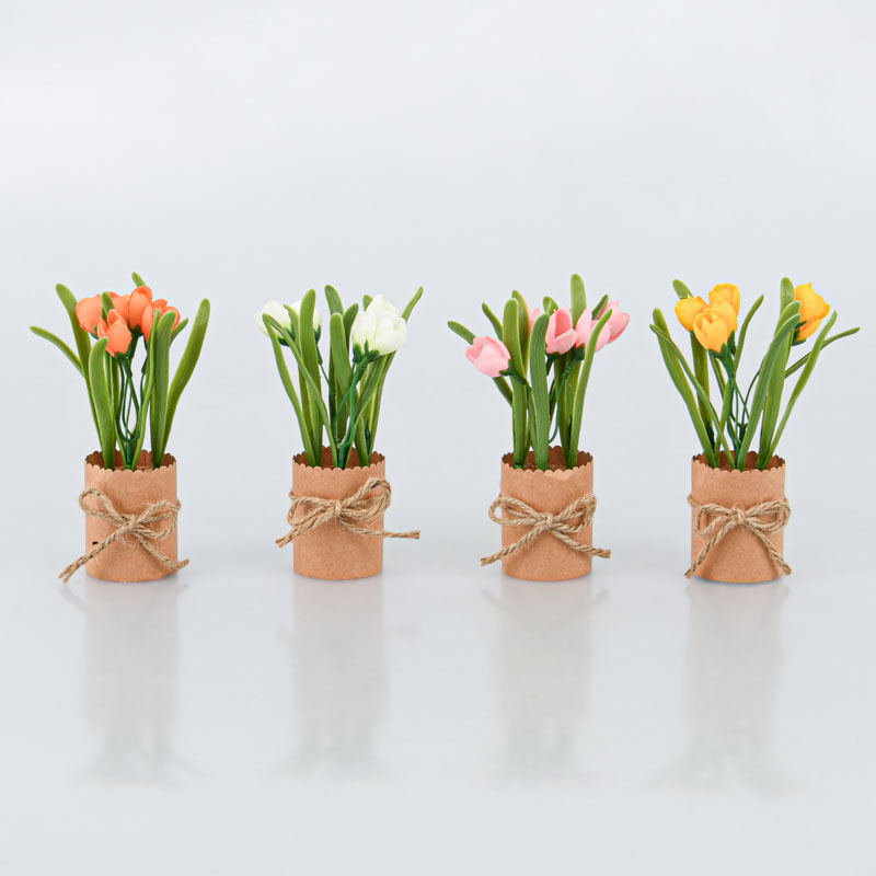 Petits tulipes en pot 