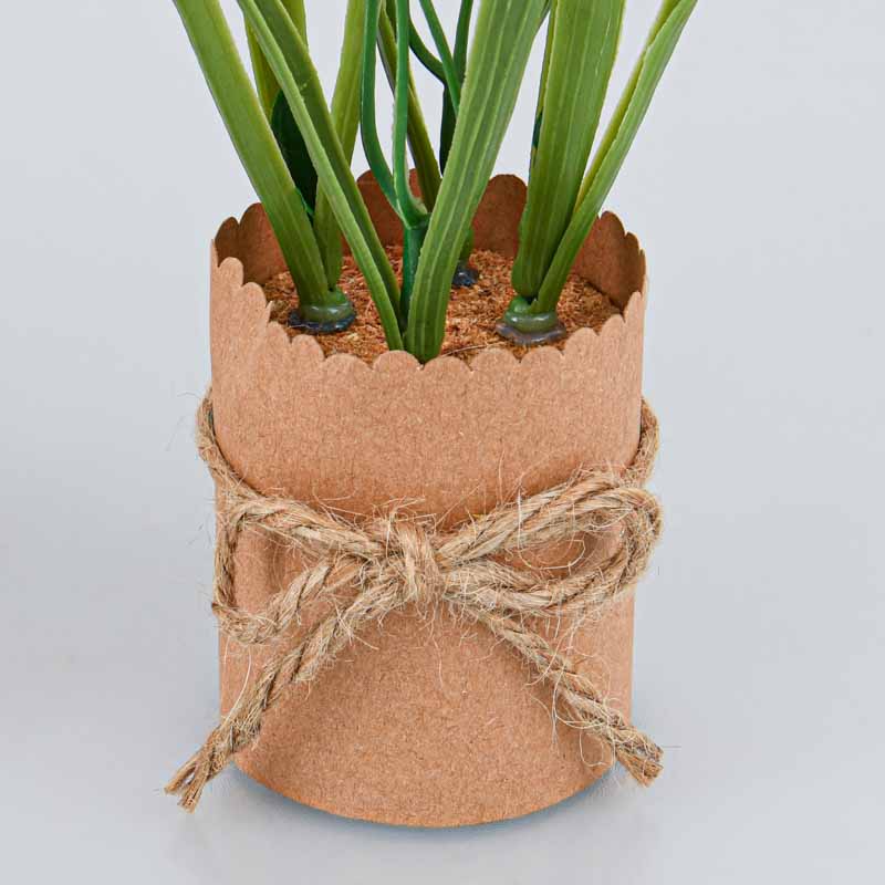 Petits tulipes en pot 