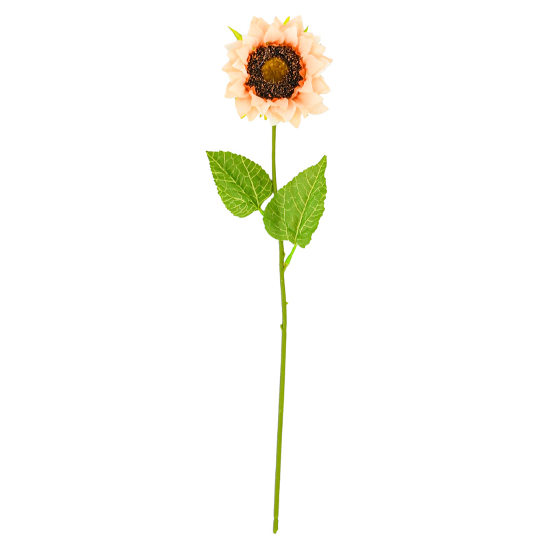 Tige de de tournesol